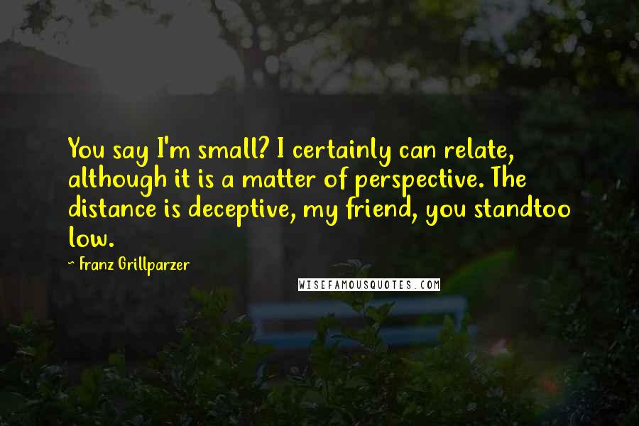 Franz Grillparzer Quotes: You say I'm small? I certainly can relate, although it is a matter of perspective. The distance is deceptive, my friend, you standtoo low.