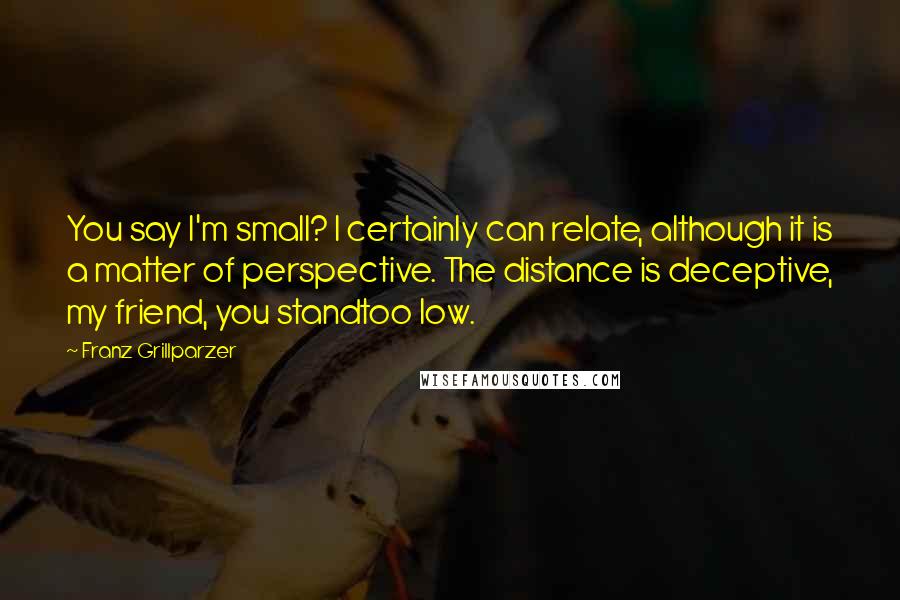 Franz Grillparzer Quotes: You say I'm small? I certainly can relate, although it is a matter of perspective. The distance is deceptive, my friend, you standtoo low.