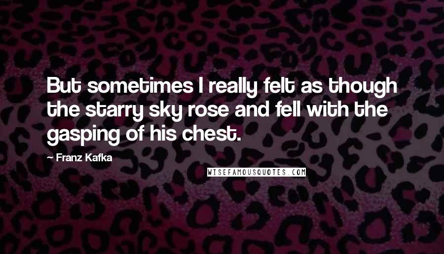 Franz Kafka Quotes: But sometimes I really felt as though the starry sky rose and fell with the gasping of his chest.