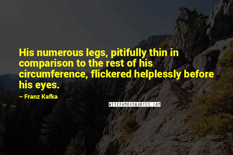 Franz Kafka Quotes: His numerous legs, pitifully thin in comparison to the rest of his circumference, flickered helplessly before his eyes.