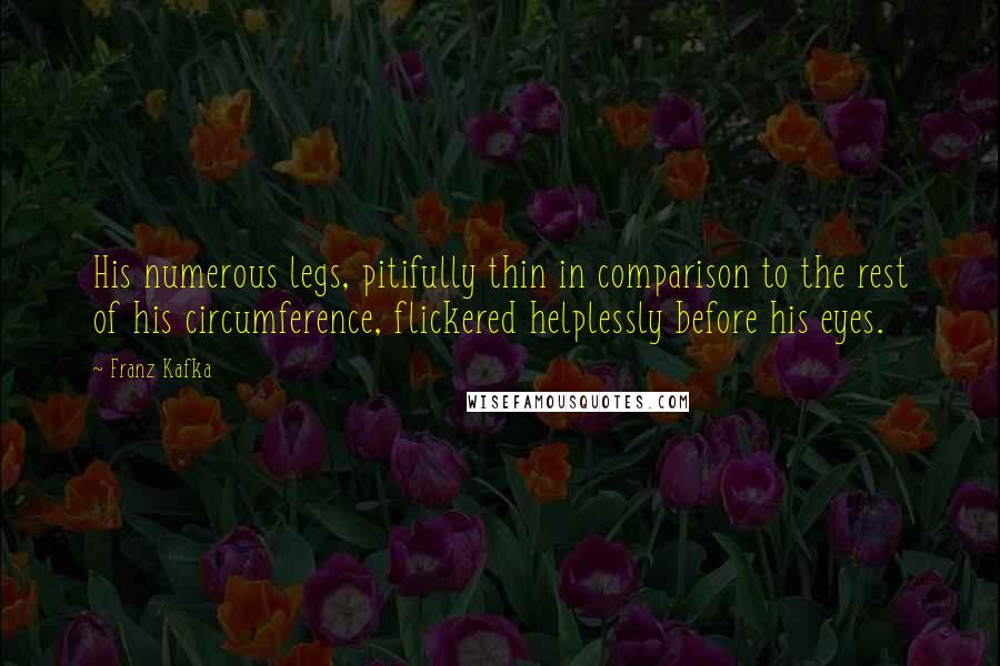 Franz Kafka Quotes: His numerous legs, pitifully thin in comparison to the rest of his circumference, flickered helplessly before his eyes.