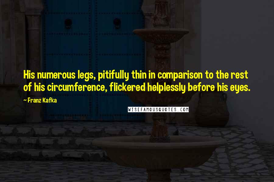 Franz Kafka Quotes: His numerous legs, pitifully thin in comparison to the rest of his circumference, flickered helplessly before his eyes.