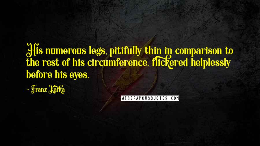 Franz Kafka Quotes: His numerous legs, pitifully thin in comparison to the rest of his circumference, flickered helplessly before his eyes.