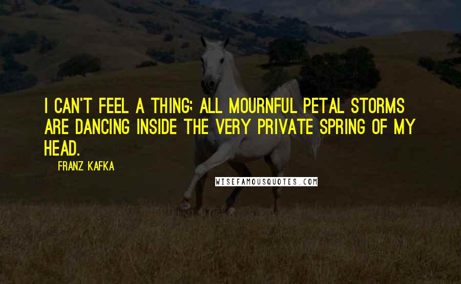 Franz Kafka Quotes: I can't feel a thing; All mournful petal storms are dancing inside the very private spring of my head.