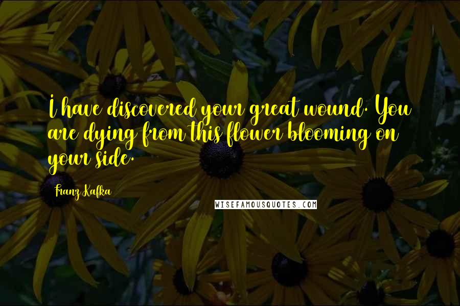 Franz Kafka Quotes: I have discovered your great wound. You are dying from this flower blooming on your side.