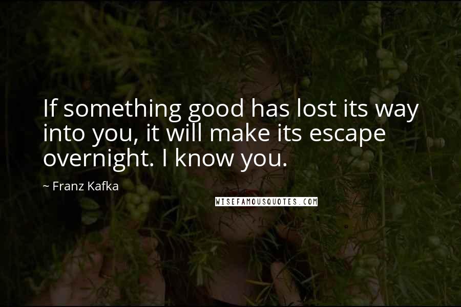 Franz Kafka Quotes: If something good has lost its way into you, it will make its escape overnight. I know you.