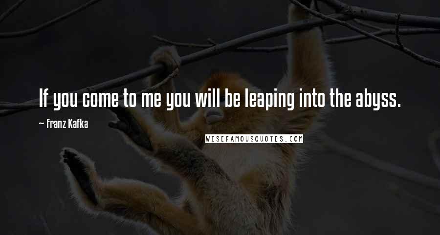 Franz Kafka Quotes: If you come to me you will be leaping into the abyss.