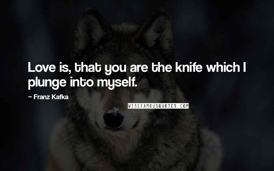 Franz Kafka Quotes: Love is, that you are the knife which I plunge into myself.