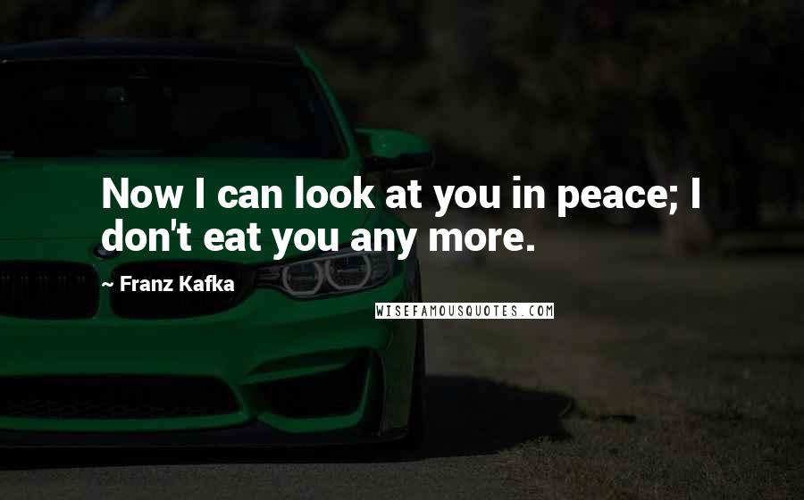 Franz Kafka Quotes: Now I can look at you in peace; I don't eat you any more.