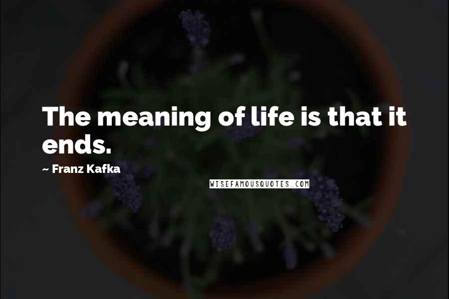 Franz Kafka Quotes: The meaning of life is that it ends.