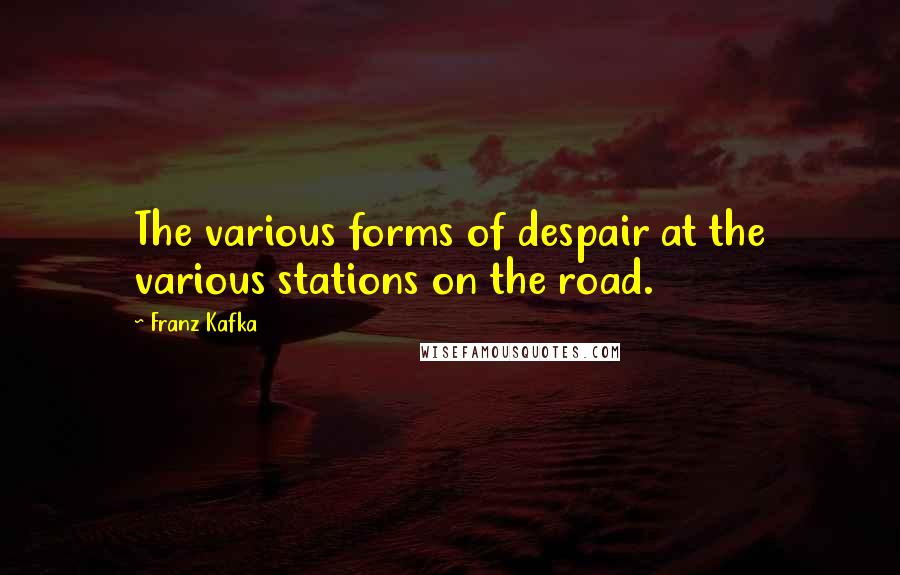 Franz Kafka Quotes: The various forms of despair at the various stations on the road.