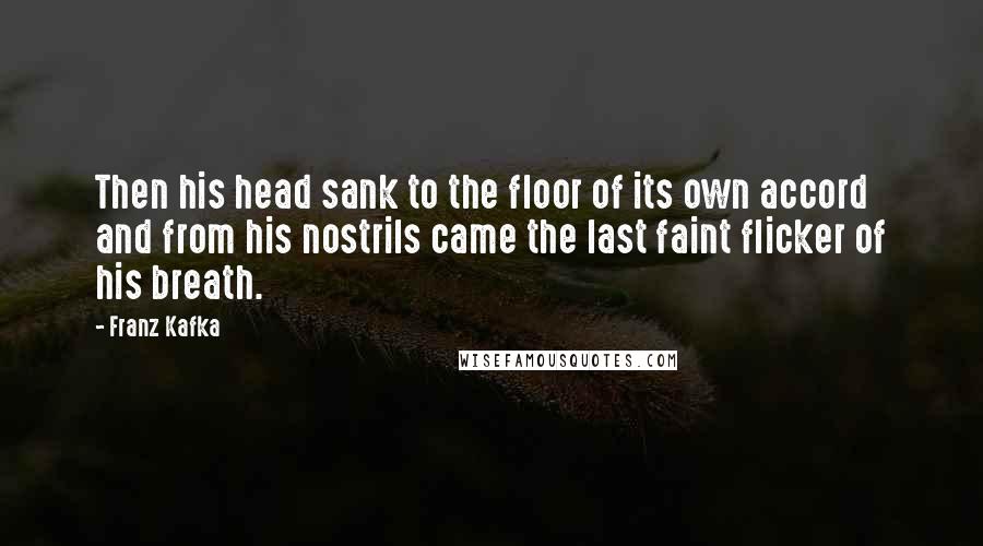 Franz Kafka Quotes: Then his head sank to the floor of its own accord and from his nostrils came the last faint flicker of his breath.