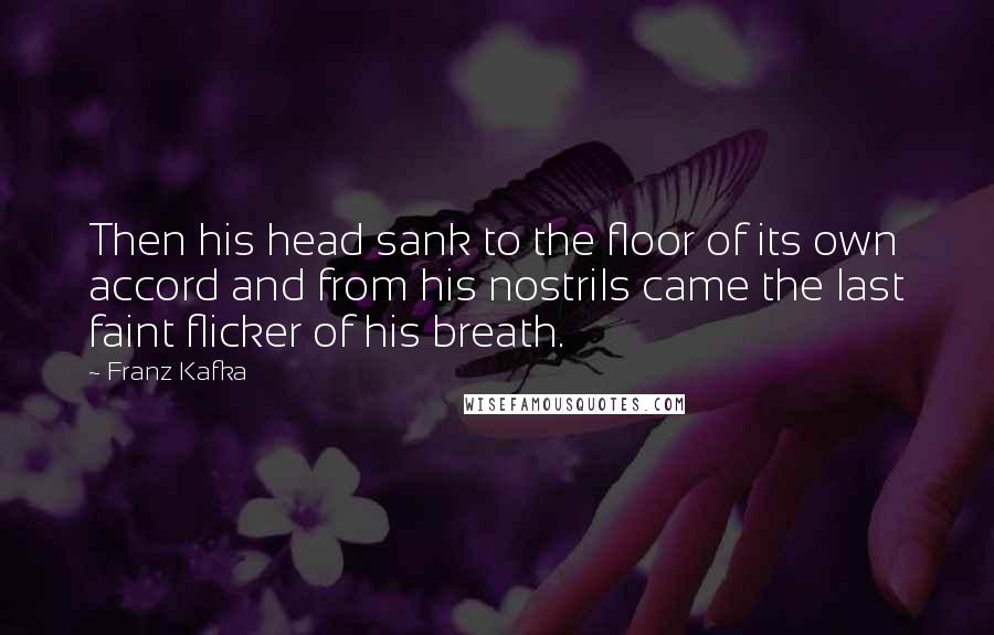 Franz Kafka Quotes: Then his head sank to the floor of its own accord and from his nostrils came the last faint flicker of his breath.
