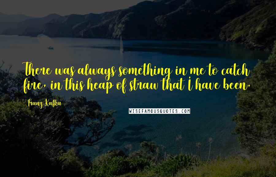 Franz Kafka Quotes: There was always something in me to catch fire, in this heap of straw that I have been.