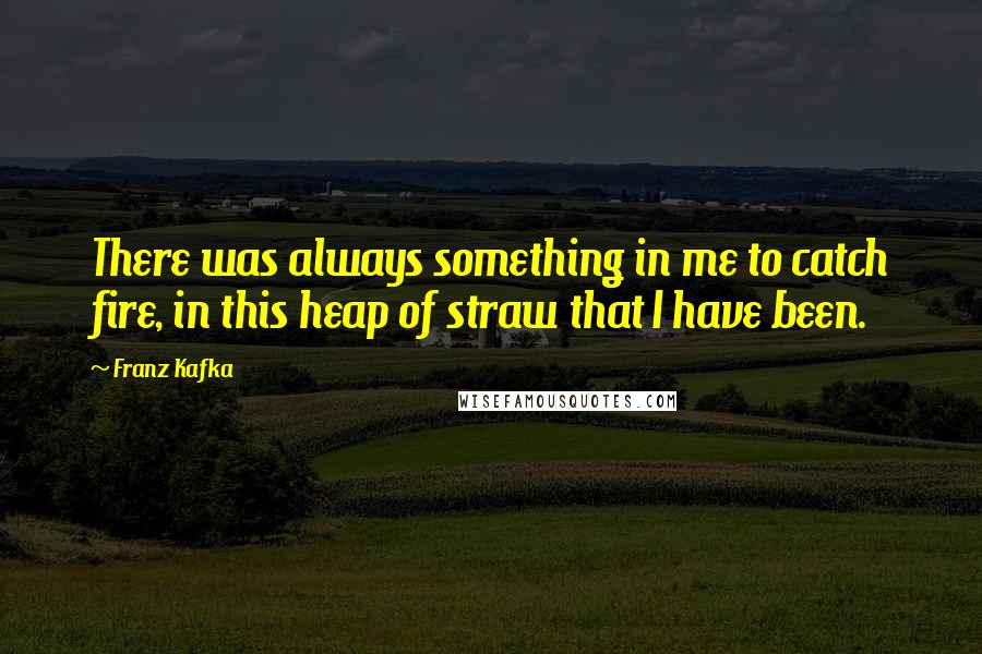 Franz Kafka Quotes: There was always something in me to catch fire, in this heap of straw that I have been.