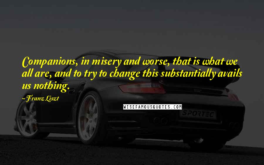 Franz Liszt Quotes: Companions, in misery and worse, that is what we all are, and to try to change this substantially avails us nothing.