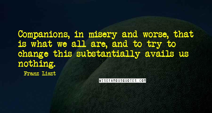 Franz Liszt Quotes: Companions, in misery and worse, that is what we all are, and to try to change this substantially avails us nothing.