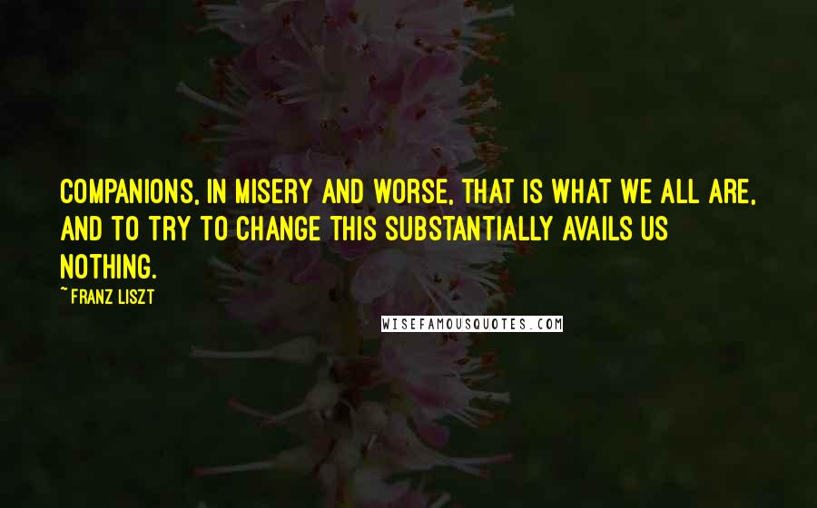 Franz Liszt Quotes: Companions, in misery and worse, that is what we all are, and to try to change this substantially avails us nothing.