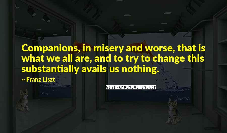 Franz Liszt Quotes: Companions, in misery and worse, that is what we all are, and to try to change this substantially avails us nothing.