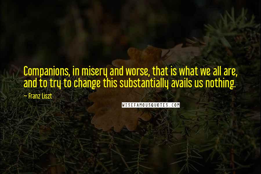 Franz Liszt Quotes: Companions, in misery and worse, that is what we all are, and to try to change this substantially avails us nothing.