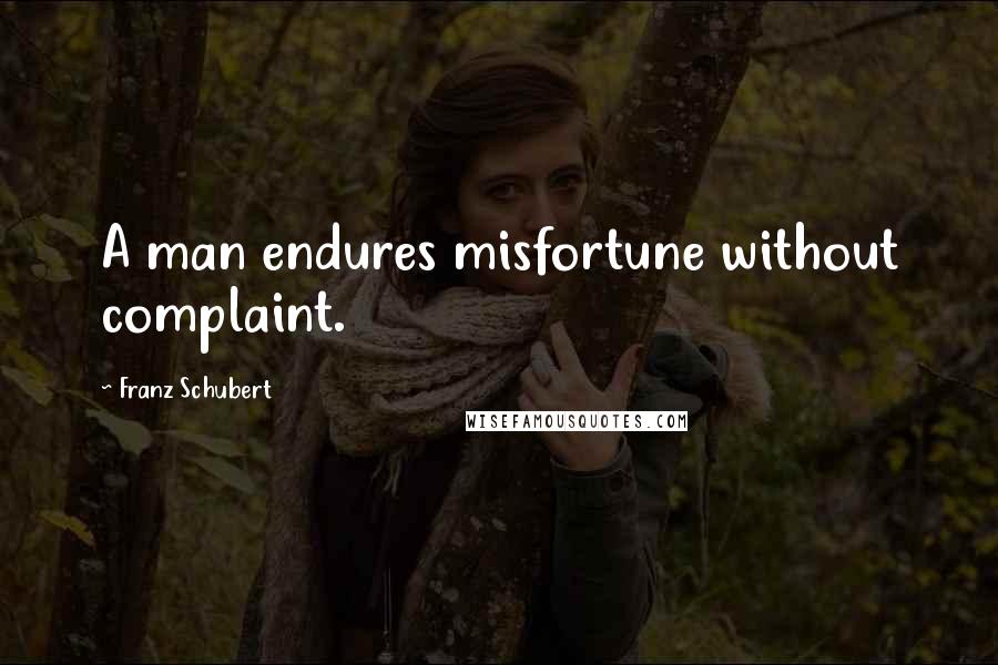 Franz Schubert Quotes: A man endures misfortune without complaint.