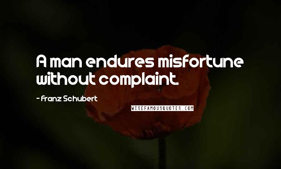 Franz Schubert Quotes: A man endures misfortune without complaint.