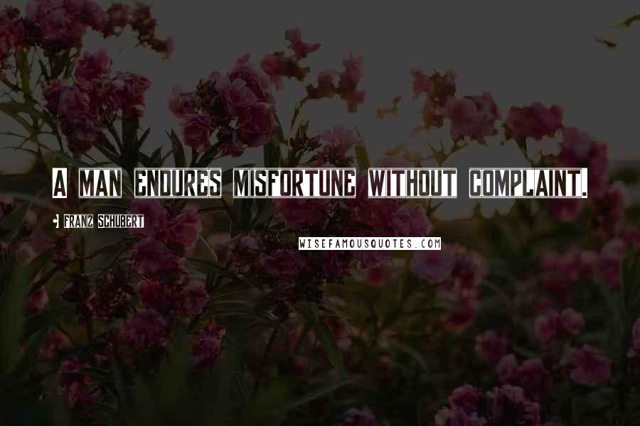 Franz Schubert Quotes: A man endures misfortune without complaint.