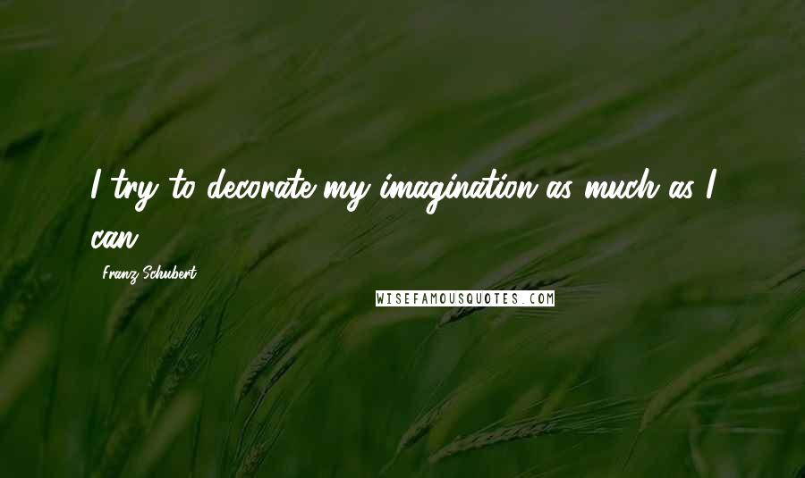 Franz Schubert Quotes: I try to decorate my imagination as much as I can.