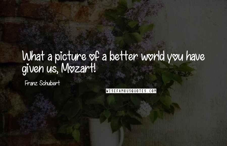 Franz Schubert Quotes: What a picture of a better world you have given us, Mozart!