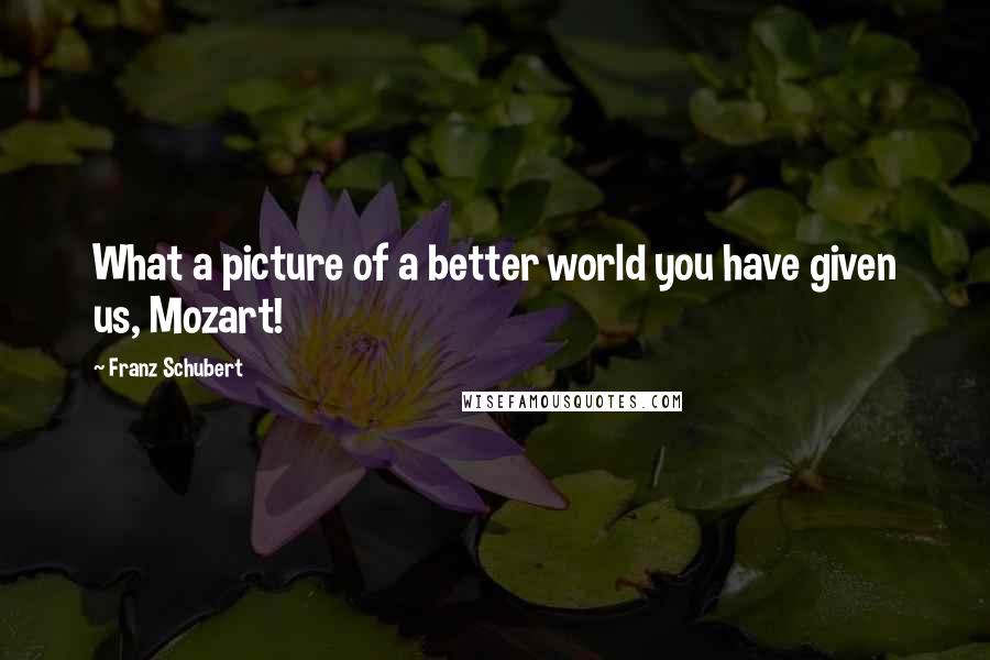 Franz Schubert Quotes: What a picture of a better world you have given us, Mozart!