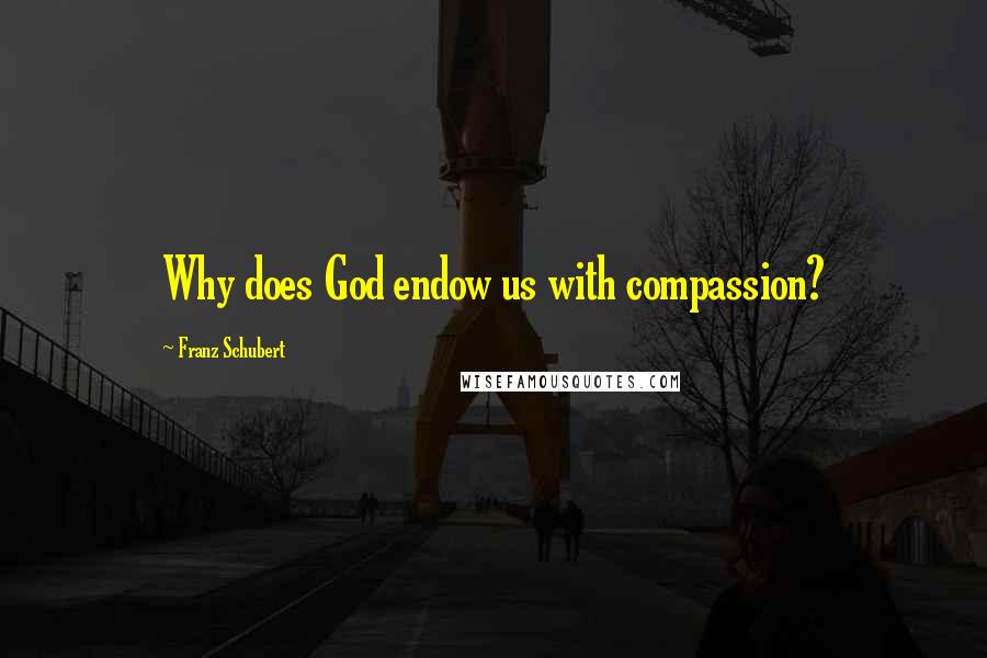 Franz Schubert Quotes: Why does God endow us with compassion?