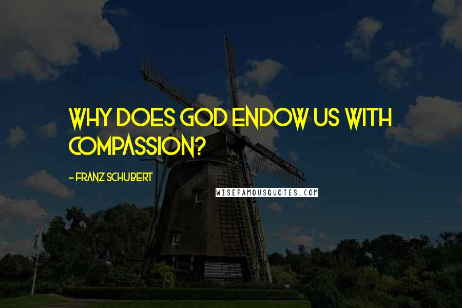 Franz Schubert Quotes: Why does God endow us with compassion?