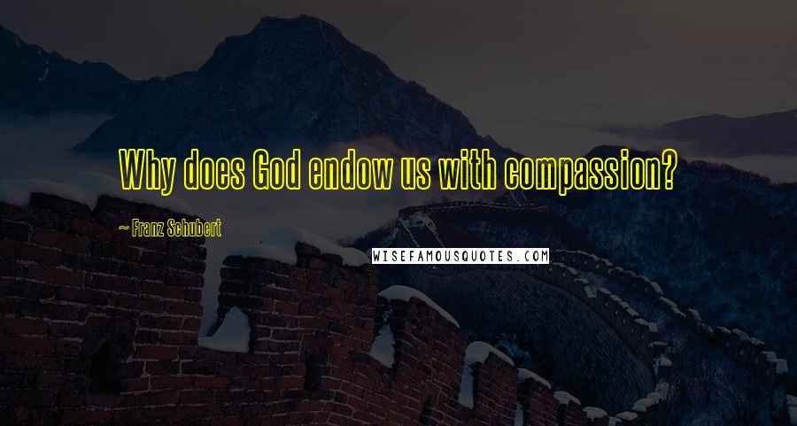 Franz Schubert Quotes: Why does God endow us with compassion?
