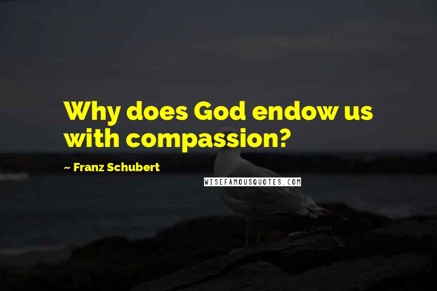 Franz Schubert Quotes: Why does God endow us with compassion?