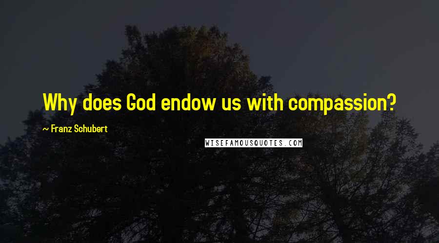 Franz Schubert Quotes: Why does God endow us with compassion?