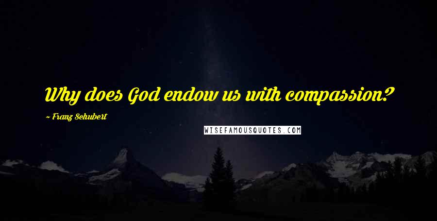 Franz Schubert Quotes: Why does God endow us with compassion?