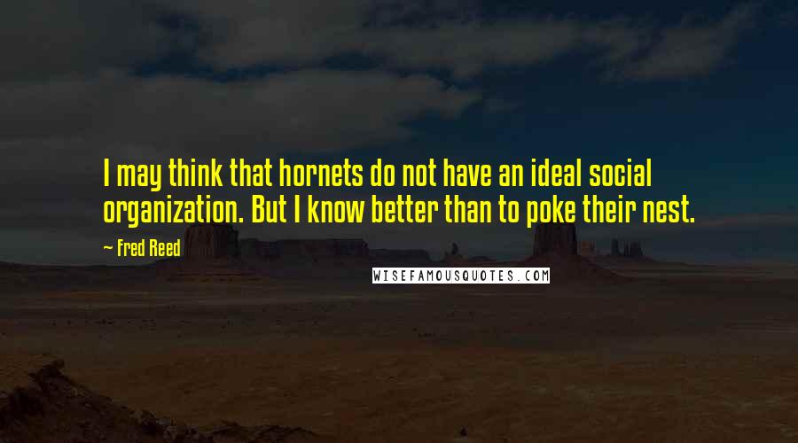 Fred Reed Quotes: I may think that hornets do not have an ideal social organization. But I know better than to poke their nest.