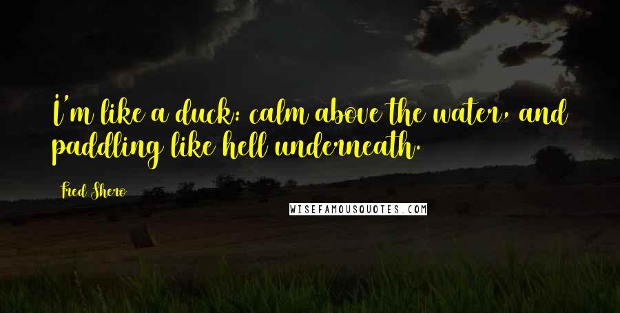 Fred Shero Quotes: I'm like a duck: calm above the water, and paddling like hell underneath.