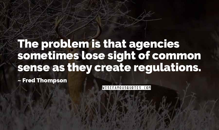 Fred Thompson Quotes: The problem is that agencies sometimes lose sight of common sense as they create regulations.