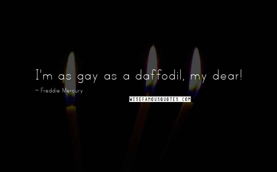 Freddie Mercury Quotes: I'm as gay as a daffodil, my dear!