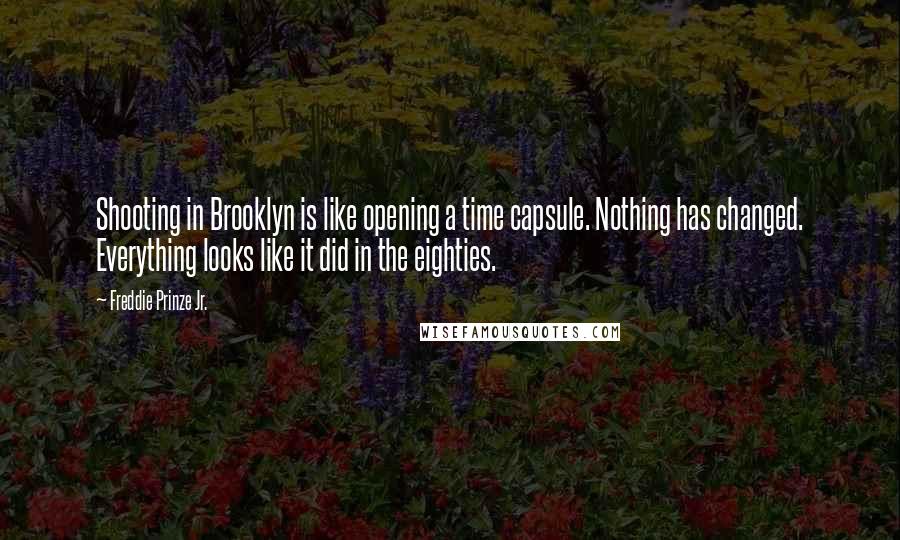 Freddie Prinze Jr. Quotes: Shooting in Brooklyn is like opening a time capsule. Nothing has changed. Everything looks like it did in the eighties.