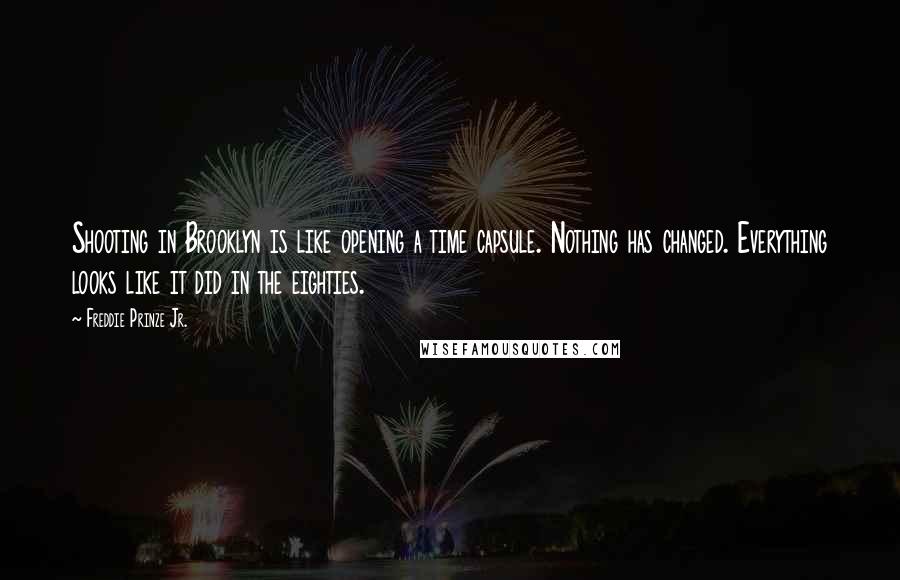 Freddie Prinze Jr. Quotes: Shooting in Brooklyn is like opening a time capsule. Nothing has changed. Everything looks like it did in the eighties.