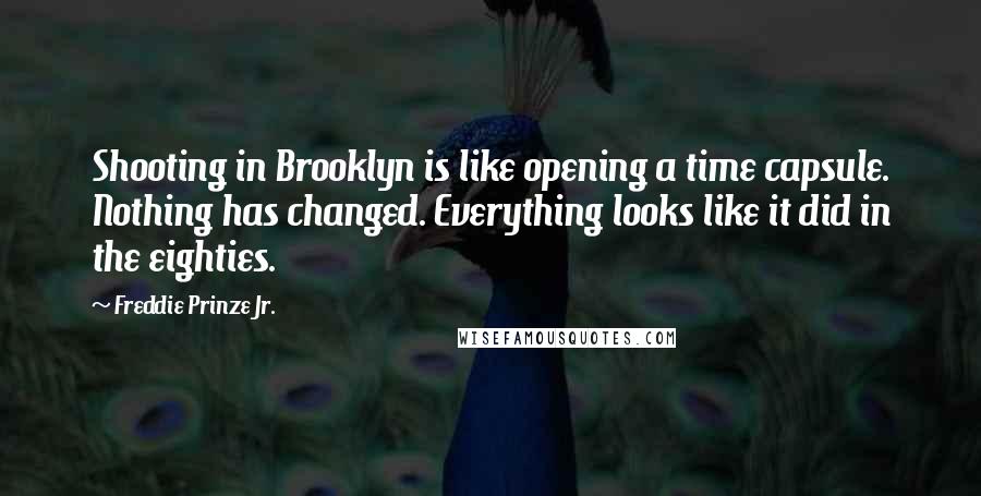 Freddie Prinze Jr. Quotes: Shooting in Brooklyn is like opening a time capsule. Nothing has changed. Everything looks like it did in the eighties.