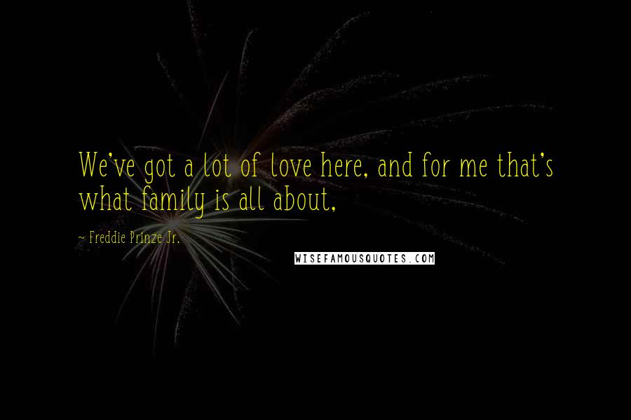 Freddie Prinze Jr. Quotes: We've got a lot of love here, and for me that's what family is all about,