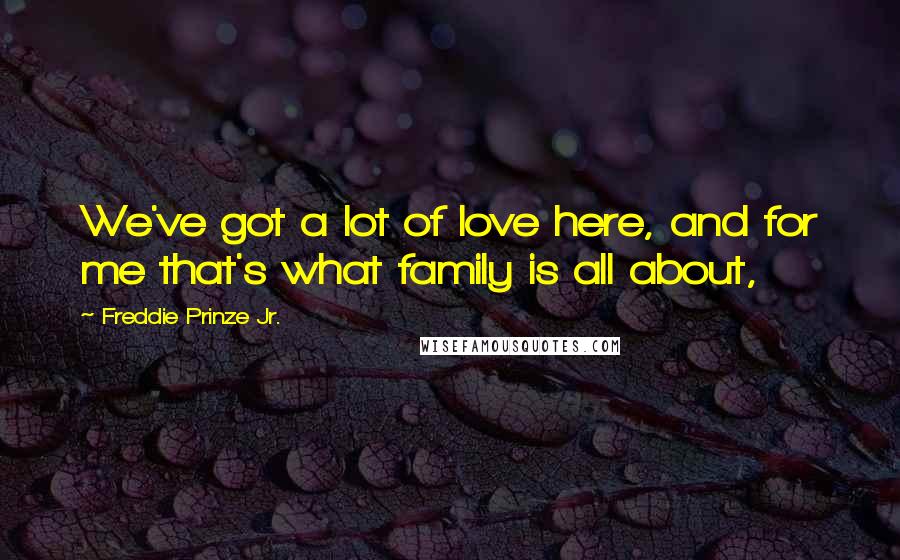 Freddie Prinze Jr. Quotes: We've got a lot of love here, and for me that's what family is all about,