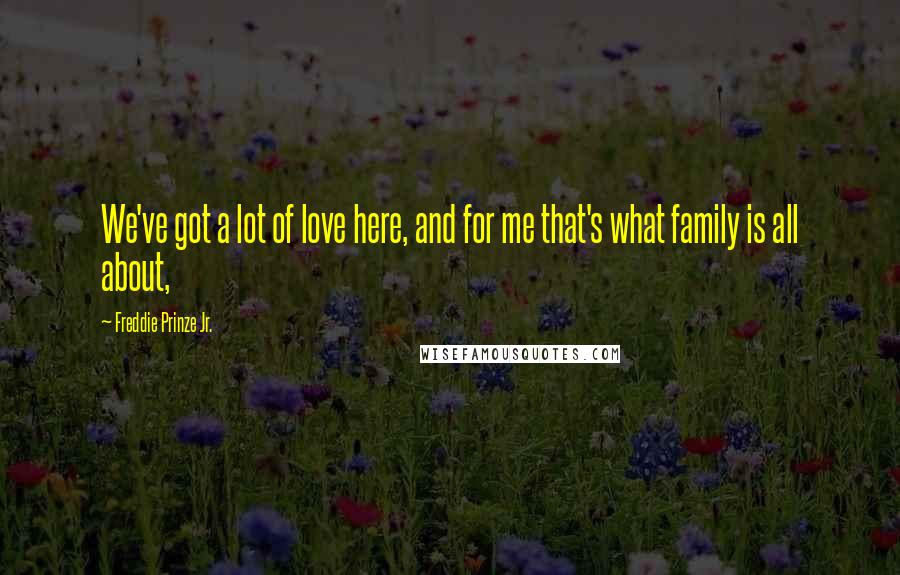 Freddie Prinze Jr. Quotes: We've got a lot of love here, and for me that's what family is all about,