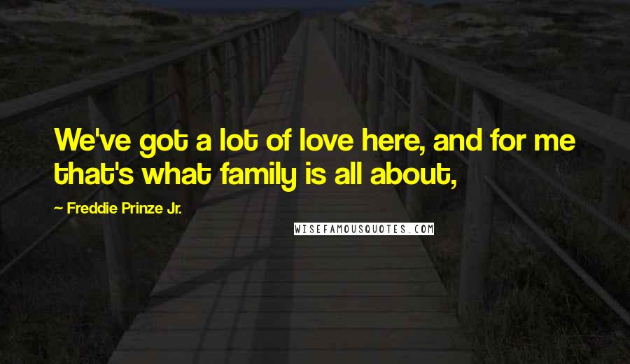 Freddie Prinze Jr. Quotes: We've got a lot of love here, and for me that's what family is all about,