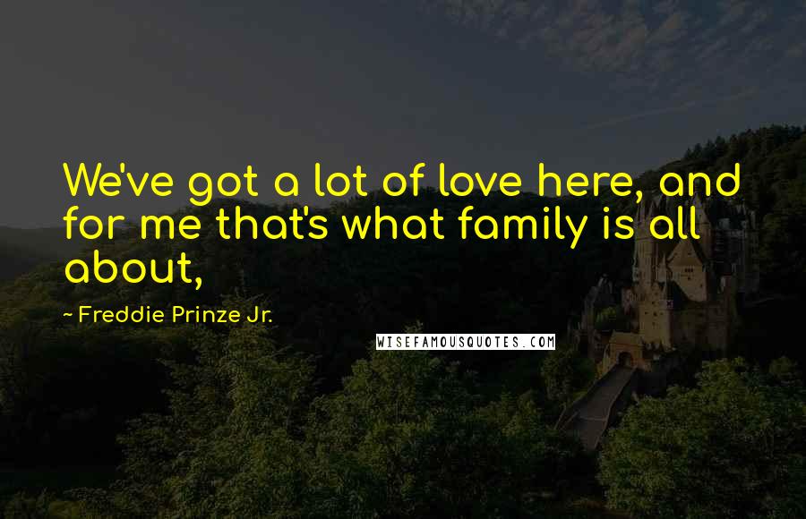 Freddie Prinze Jr. Quotes: We've got a lot of love here, and for me that's what family is all about,