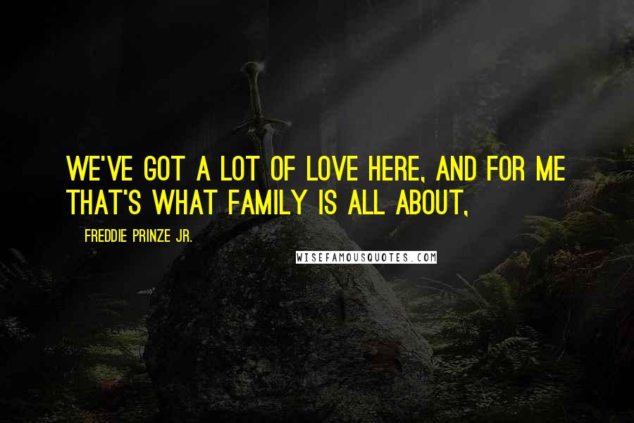 Freddie Prinze Jr. Quotes: We've got a lot of love here, and for me that's what family is all about,