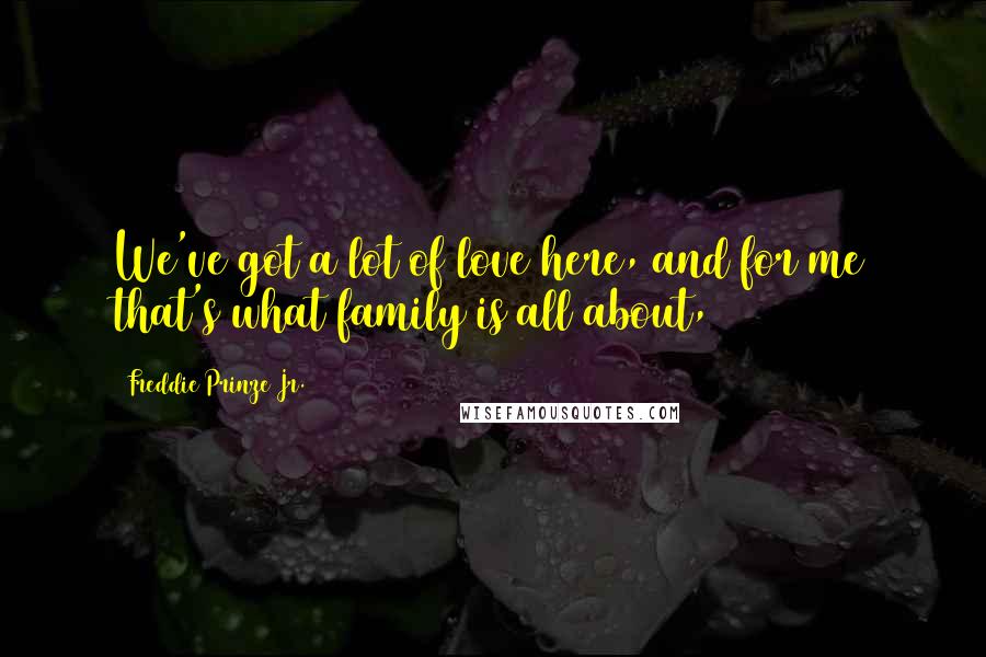 Freddie Prinze Jr. Quotes: We've got a lot of love here, and for me that's what family is all about,